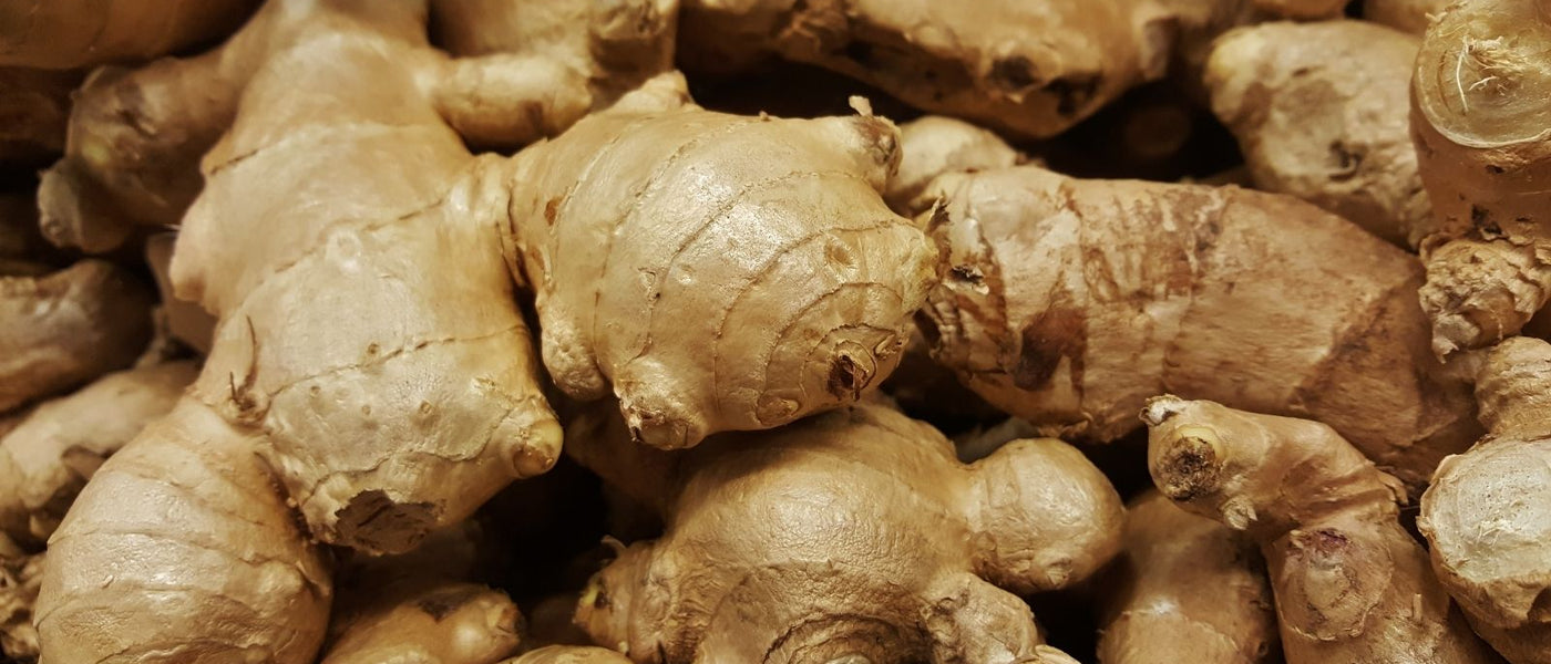 GINGER BENEFITS AND PROPERTIES