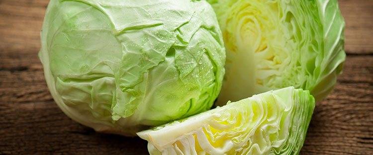 CABBAGE: BENEFITS, NUTRITIONAL VALUES, USES AND CONTRAINDICATIONS.
