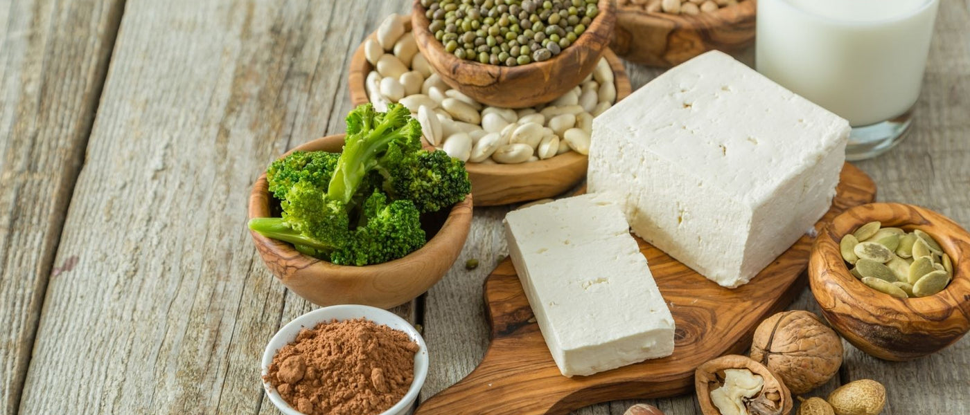 HIGH PROTEIN FOODS: WHY ARE THEY USEFUL TO WEIGHT LOSS?