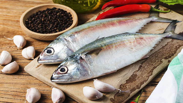 BLUEFISH AND OMEGA 3 BENEFITS. ProLon Europe